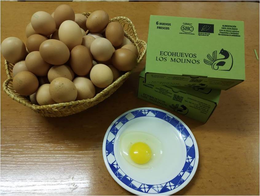 los_huevos_de_ecohuevos_los_molinos