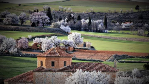 La Balluca Cerveza Artesana - Tierra de Emprendedoras
