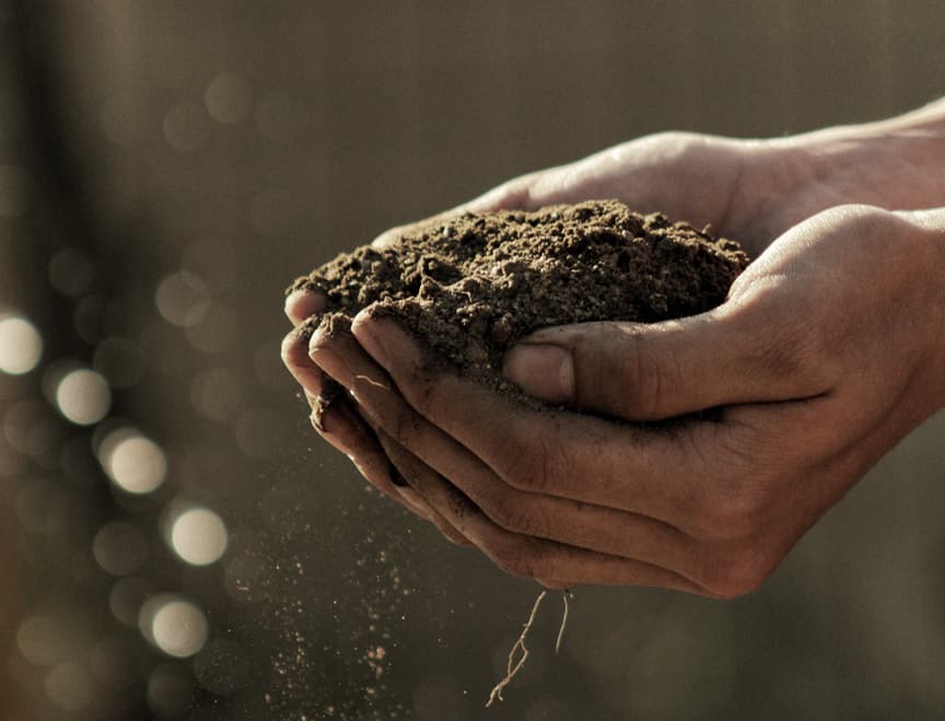 ventaja de consumo responsabe es cuidar la planeta
