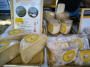queso 2